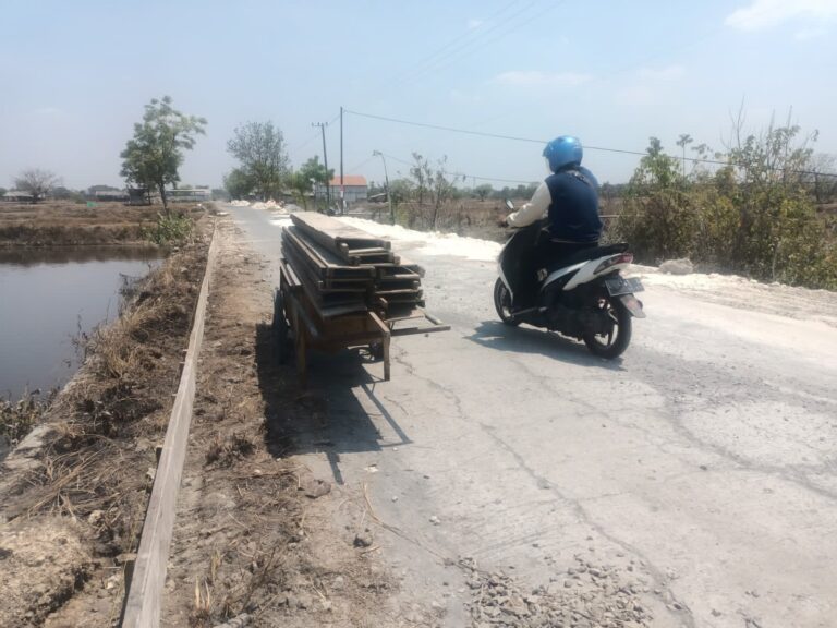 Mudahkan Akses Masyarakat, Pemdes Palebon Revitalisasi Jalan Poros Desa