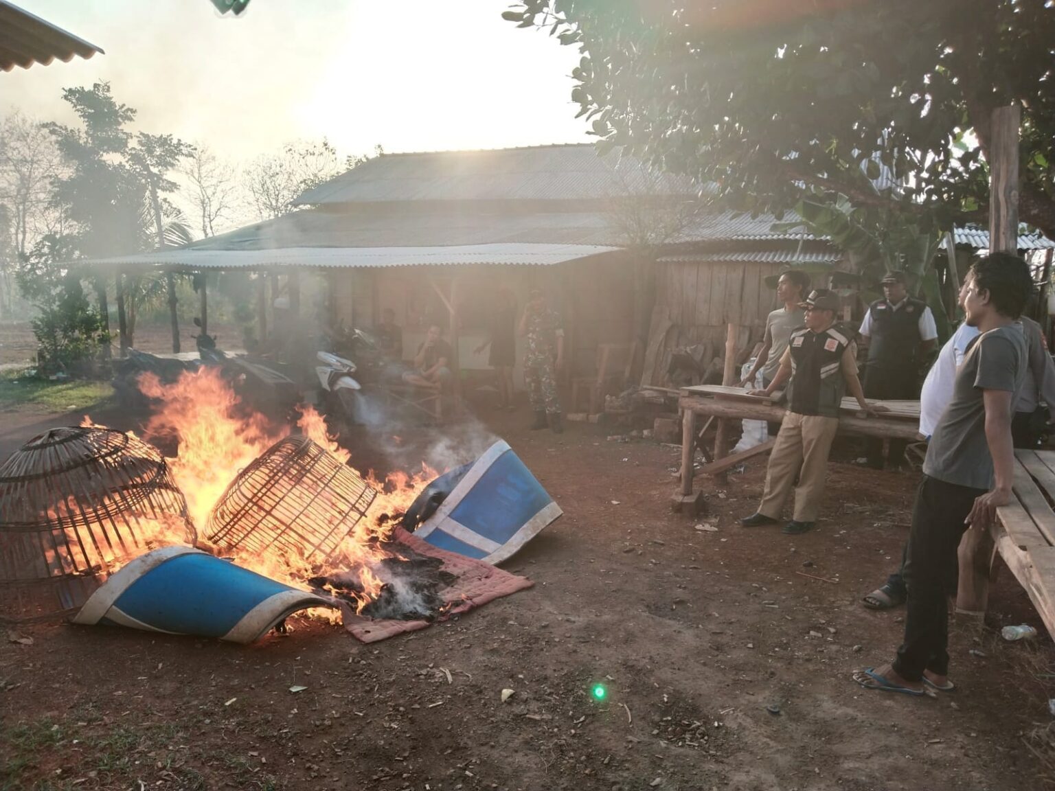 Usai Sidayu, Giliran Lokasi Judi Sabung Ayam di Panceng Digrebek Aparat