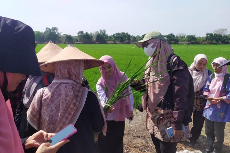 Desa Betiting Cerme Jadi Tempat Penelitian Deteksi Penyakit Tanaman