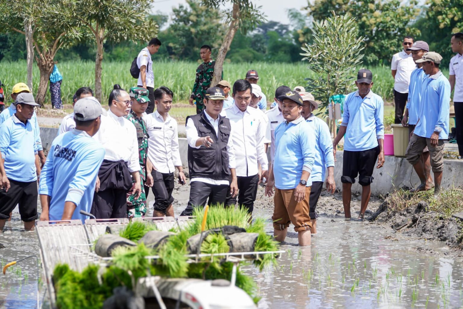 Kabupaten Lamongan Optimistis Dapat Penuhi Target Luas Tambah Tanam