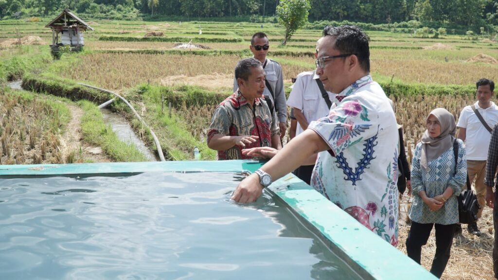 Wabup Gresik Tinjau Irigasi Perpipaan di Kepuhteluk Pulau Bawean