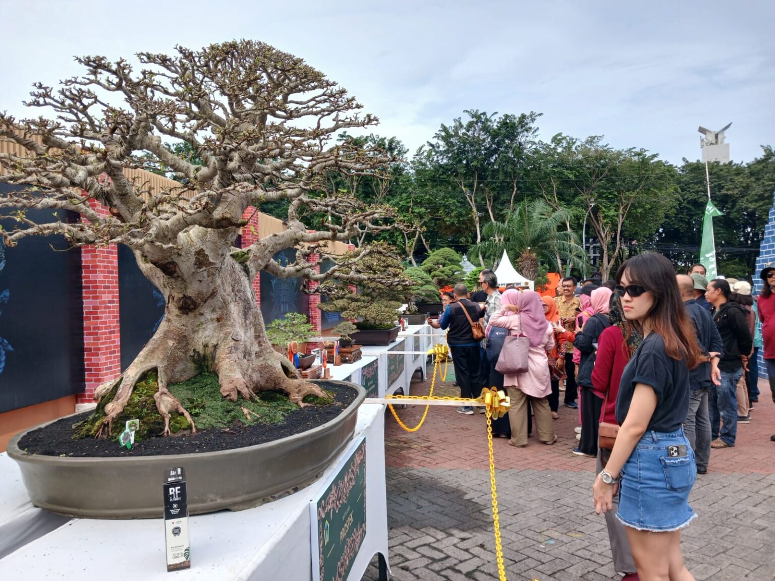 Pemkab Gresik Menobatkan Desa Petung, Sebagai Desa Bonsai