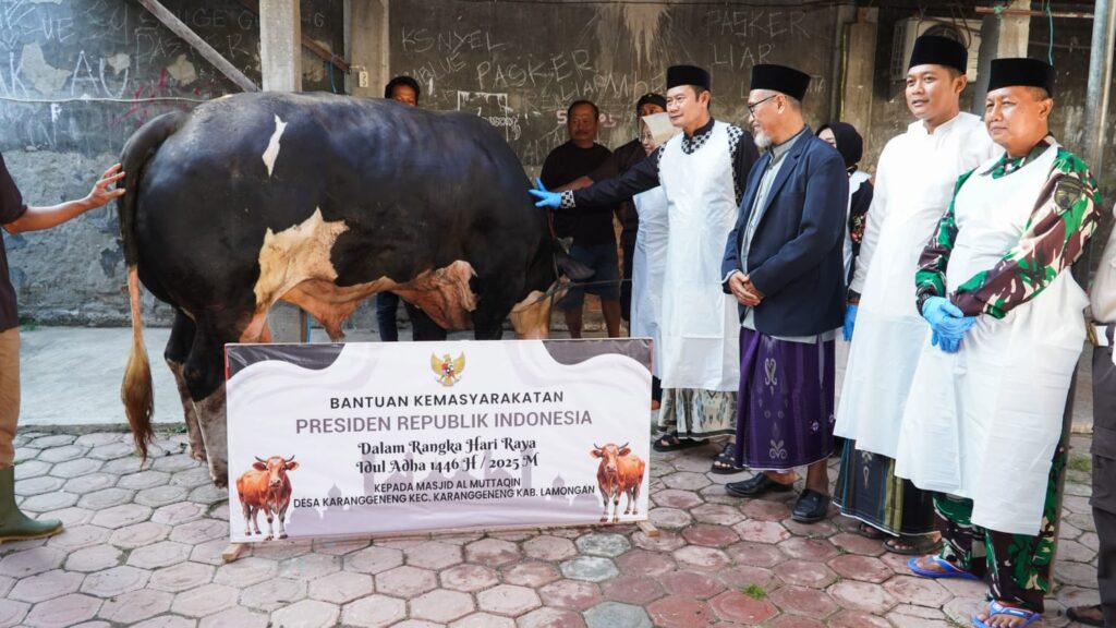 Bupati Lamongan Serahkan Sapi Kurban Bantuan Presiden ke Masjid Al Muttaqin