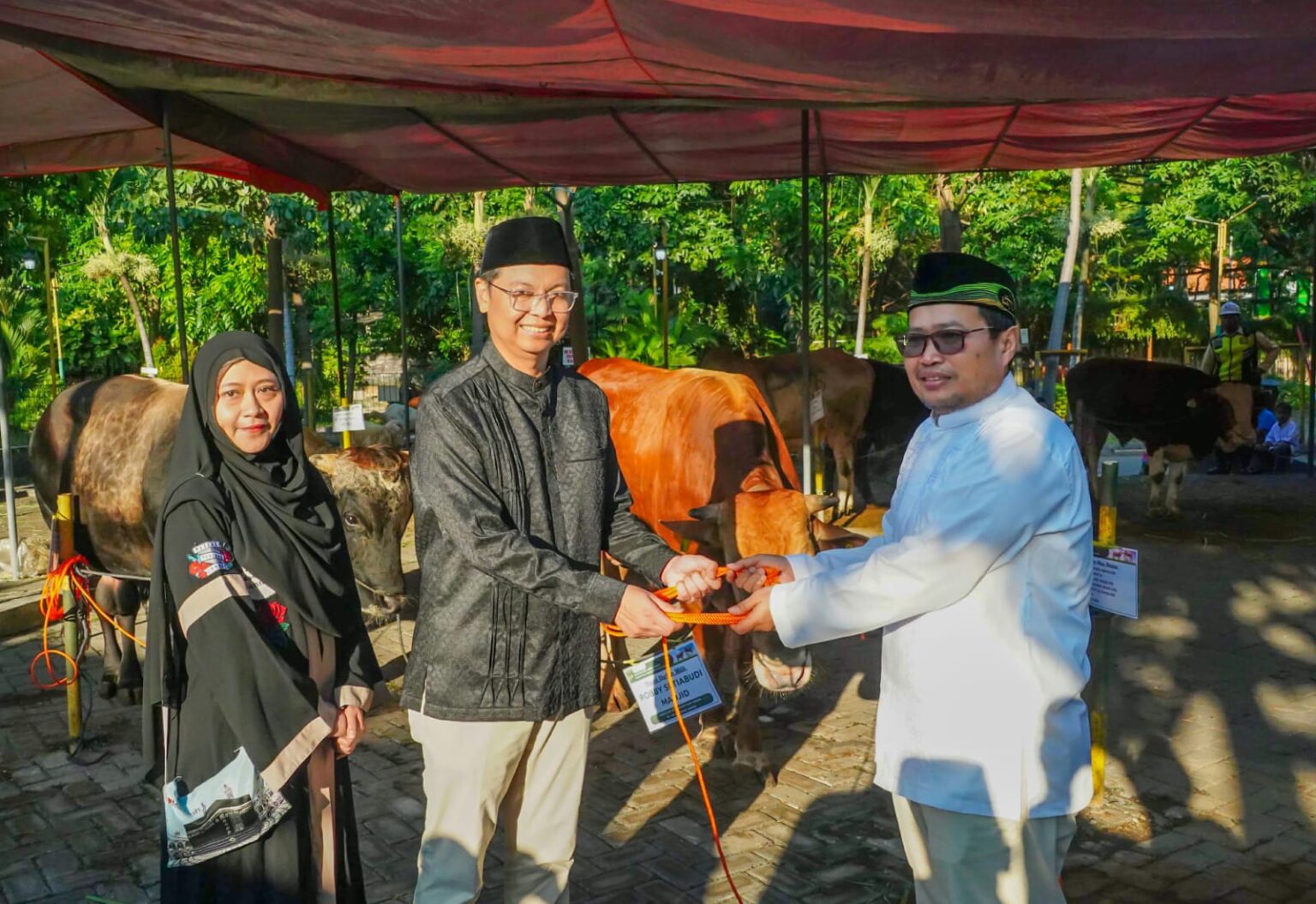 Petrokimia Gresik Bagikan Hewan Kurban Senilai Lebih Dari Rp1,5 Miliar
