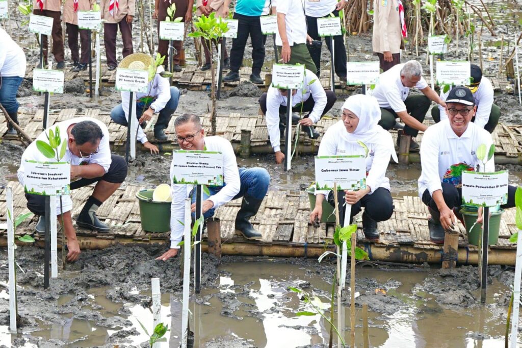 SIG Bersama Pemprov Jatim Tanam 17.845 Bibit Bakau di Probolinggo