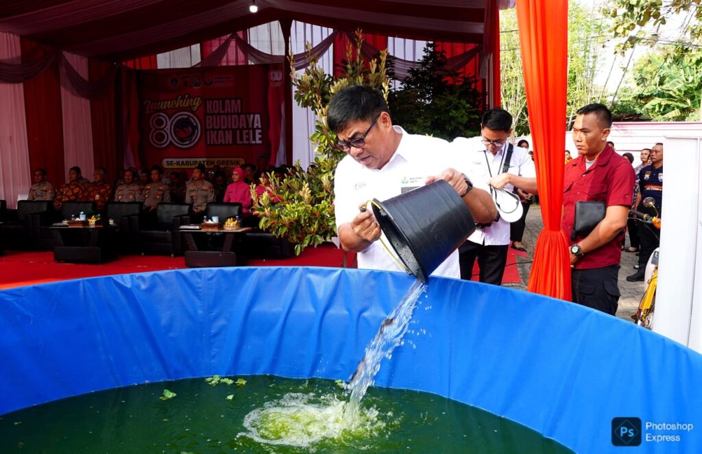 Upaya Petrokimia Gresik, Dalam Mendorong Terciptanya Ekosistem Budidaya Ikan Lele di Gresik