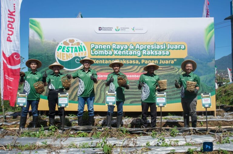 Unik, Petrokimia Gresik Menggelar Lomba Kentang Raksasa di Dieng Raya