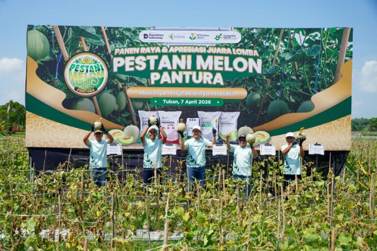 Melalui Pestani Melon Pantura, Petrokimia Gresik Tingkatkan Produktivitas Petani Melon Hingga 10 Persen