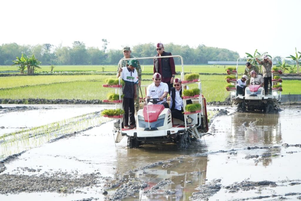Ketika Menteri PPN dan Wamentan Melaksanakan Gerakan Tanam Padi di Lamongan