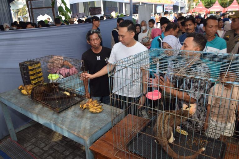 Pertama di Lamongan, Kegiatan Jalan Santai Bersama Hewan Kesayangan
