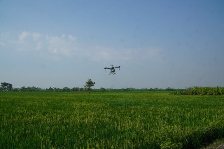 Cara Pemkab Lamongan Pergunakan Drone Bantuan dari Kementan Untuk Mengantisipasi Gagal Panen