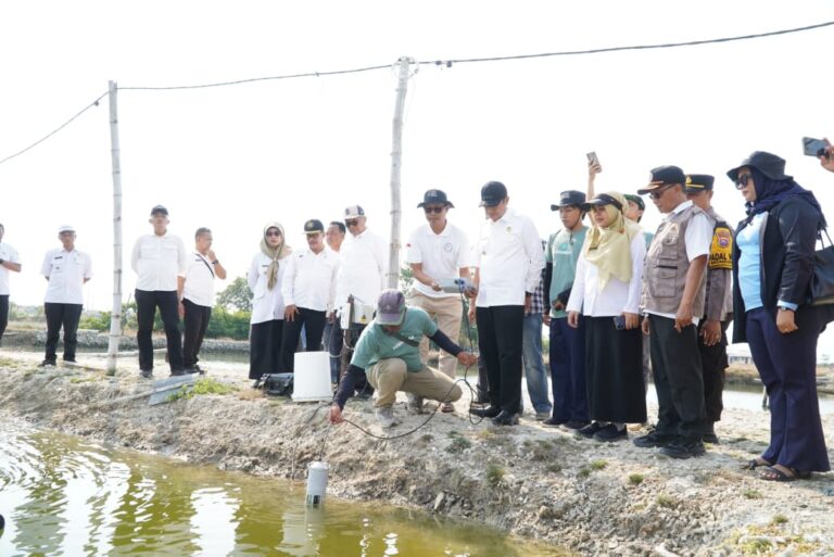 Kampung Kerapu Lamongan Sudah Mulai Terapkan Modernisasi Budidaya Perikanan